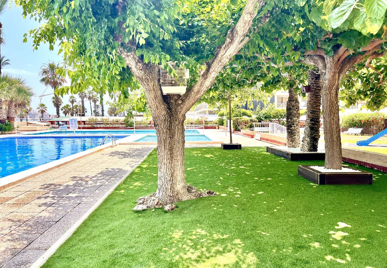 Apartamento en Peñiscola - Albatros Ii - Apartamento frente al mar 