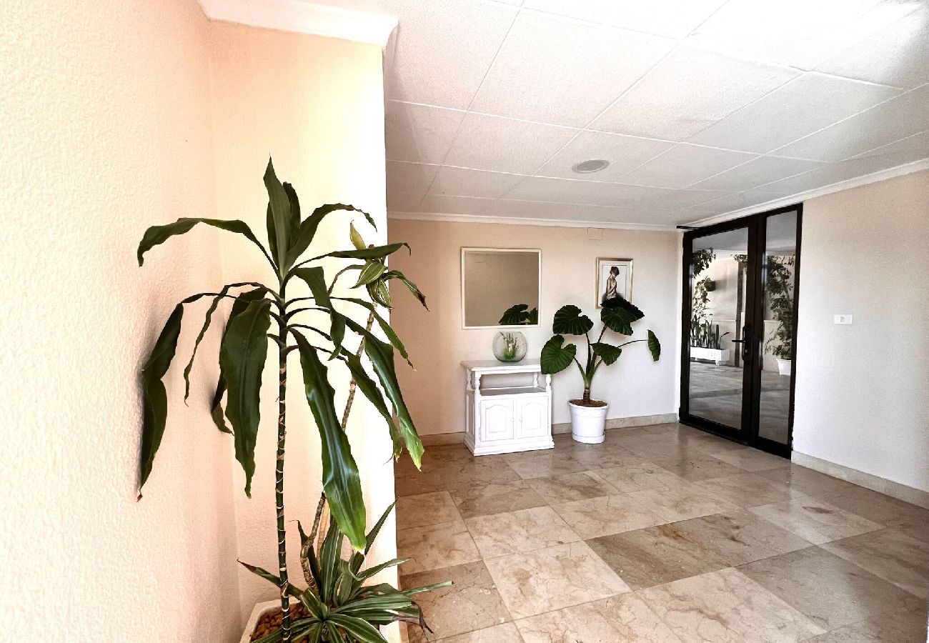 Appartement à Peñiscola - Albatros Ii – Appartement en bord de mer 