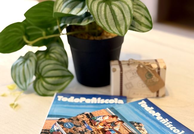 Appartement à Peñiscola - El Clero E - Appartement spacieux et central