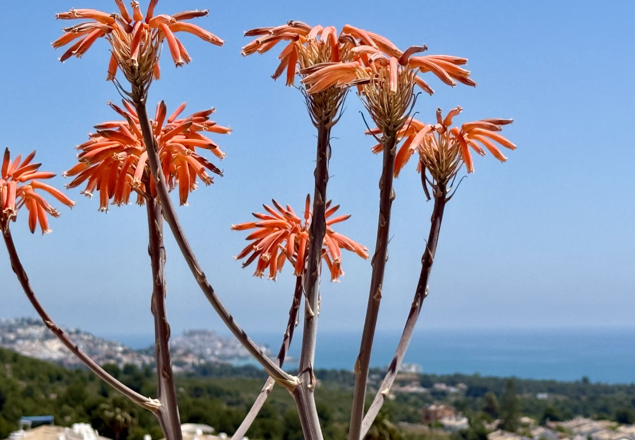 Appartement à Peñiscola - 🌿 Tierra de Irta – Détente, Piscine et Vue sur la Méditerranée