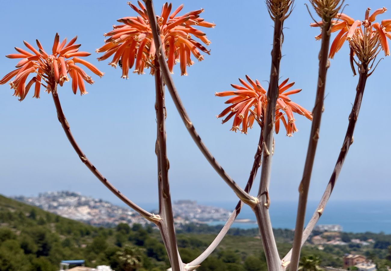 Appartement à Peñiscola - 🌿 Tierra de Irta – Détente, Piscine et Vue sur la Méditerranée